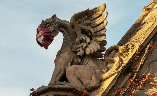 gargoyle wearing a cloth mask