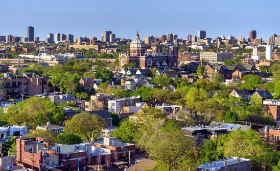 overhead view of chicago's bucktown neighborhood and its trees