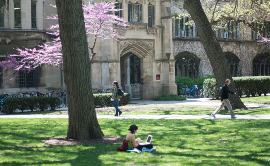 UChicago Quad in Spring