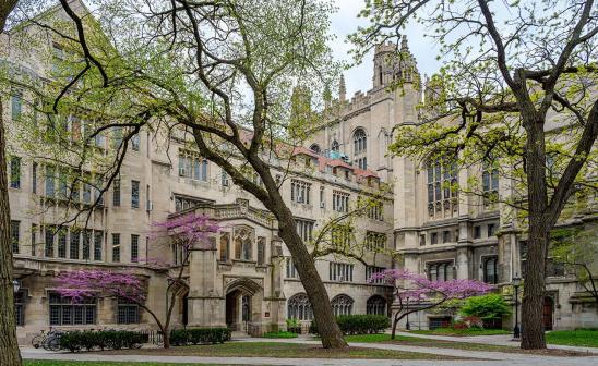 Spring in the SSD quadrangle