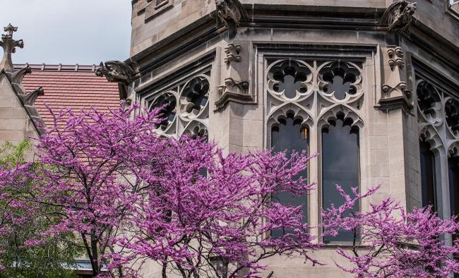 campus in spring