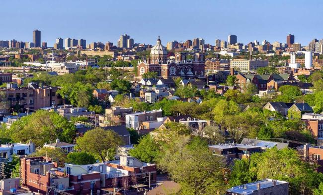 overhead view of chicago's bucktown neighborhood and its trees