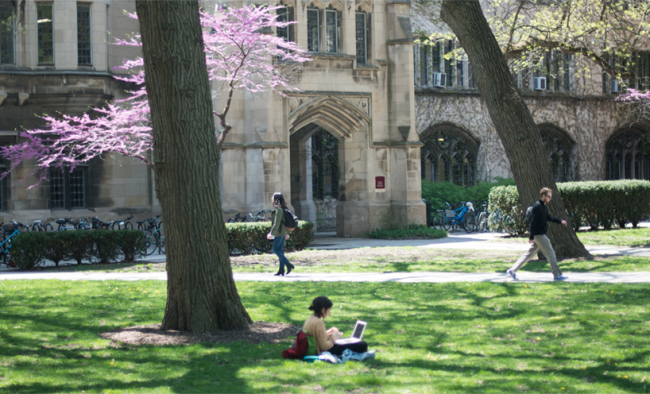 UChicago Quad in Spring
