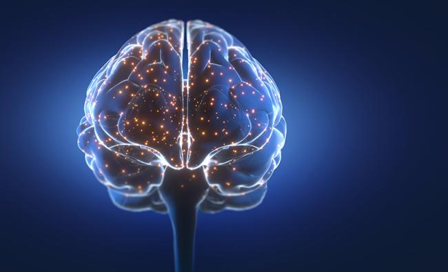 Image of brain