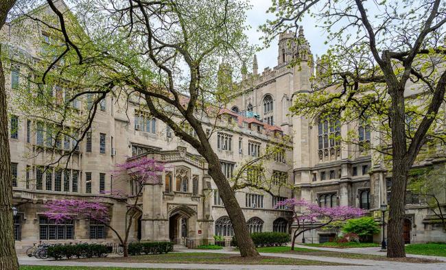 Spring in the SSD quadrangle