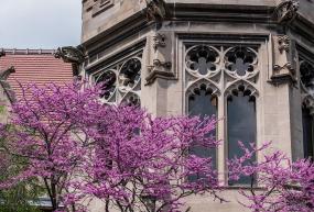 SSD Quad in the Spring 