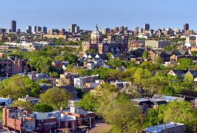 overhead view of chicago's bucktown neighborhood and its trees