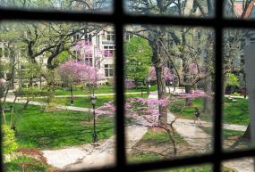 a view of the social sciences quad in the spring