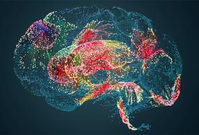 multicolored brain graphic